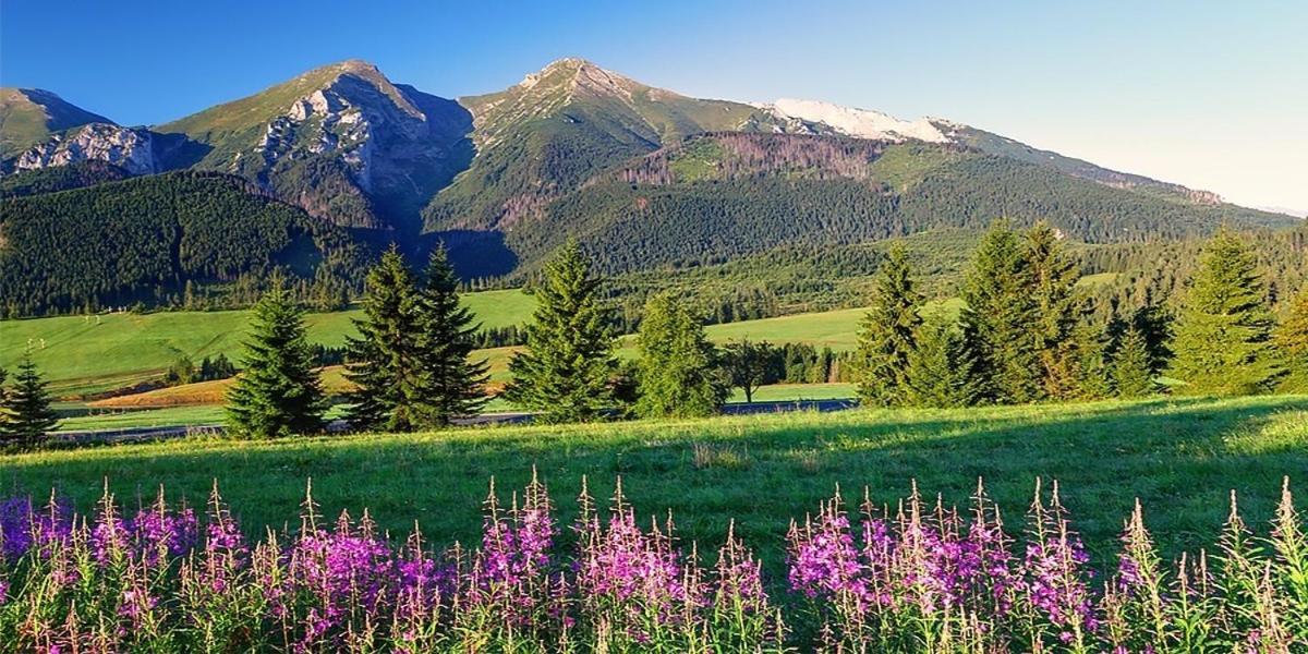 Penzion Alex Nová Lesná Exterior foto